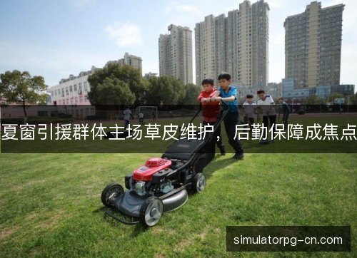 夏窗引援群体主场草皮维护,后勤保障成焦点 夏窗引援群体主场草皮维护,后勤保障成焦点